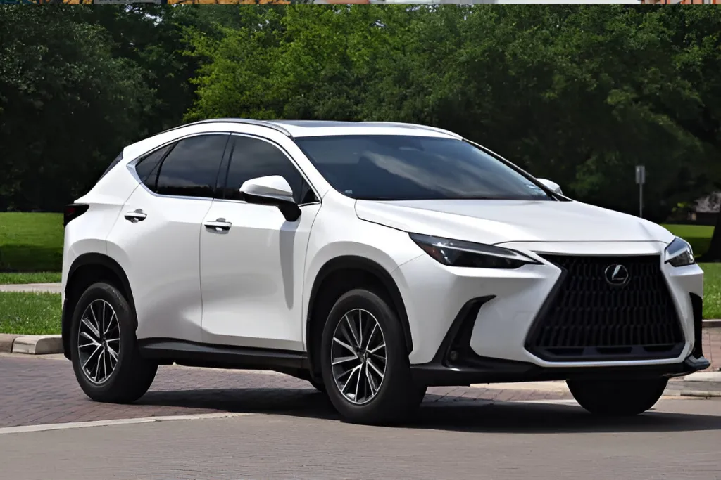 Lexus Diagnostic Dubai