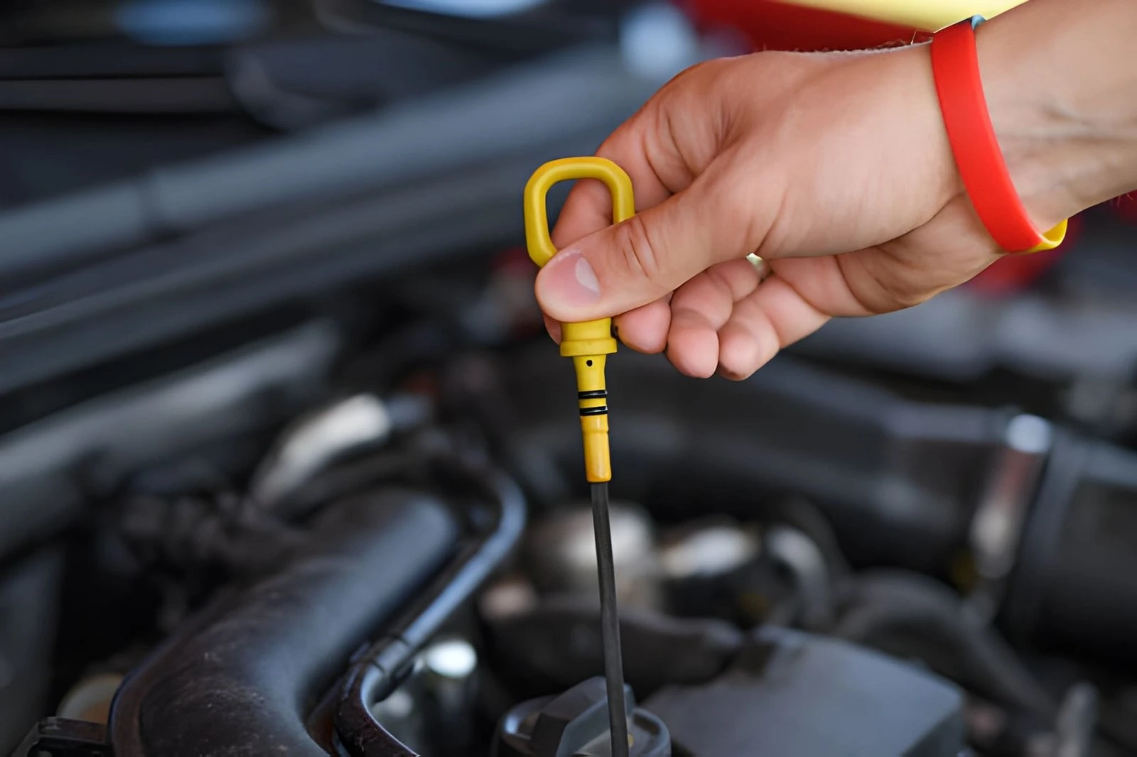 Honda Service and Oil Change