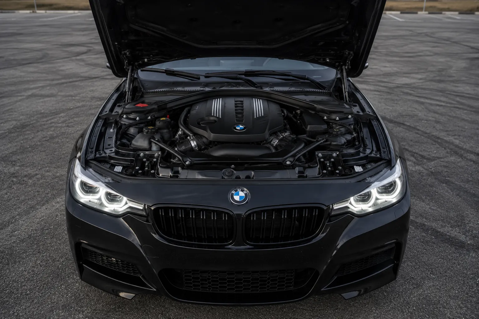 Front view of a BMW with the hood open, showcasing a clean engine bay and illustrating common BMW engine problems and maintenance needs.